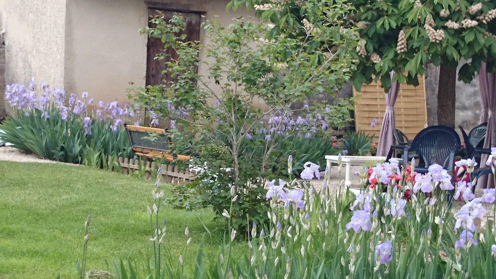 A La Grenouille Du Jura Hotell Bellignat Eksteriør bilde